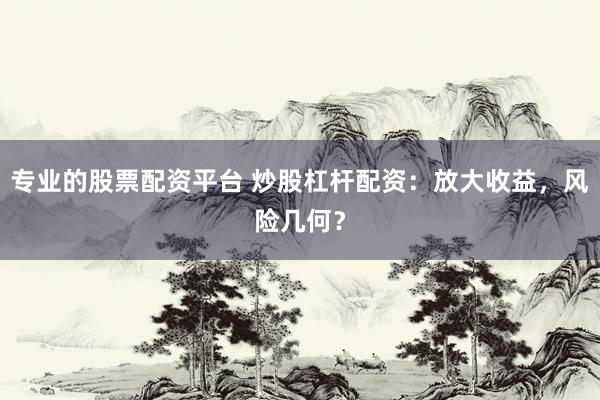 专业的股票配资平台 炒股杠杆配资：放大收益，风险几何？
