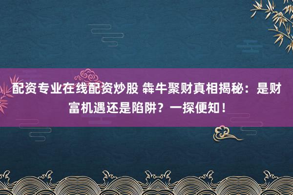 配资专业在线配资炒股 犇牛聚财真相揭秘：是财富机遇还是陷阱？一探便知！