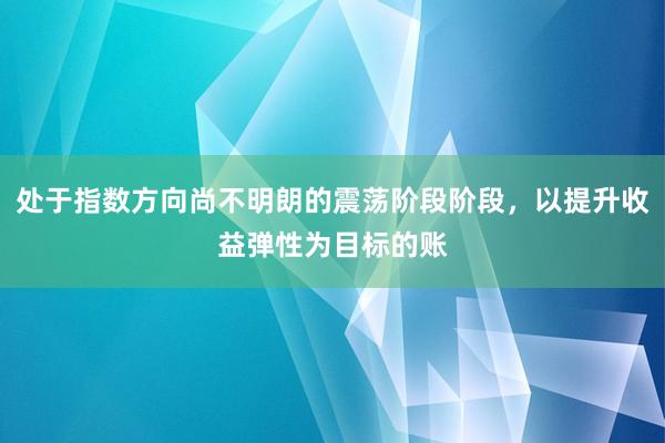 处于指数方向尚不明朗的震荡阶段阶段，以提升收益弹性为目标的账