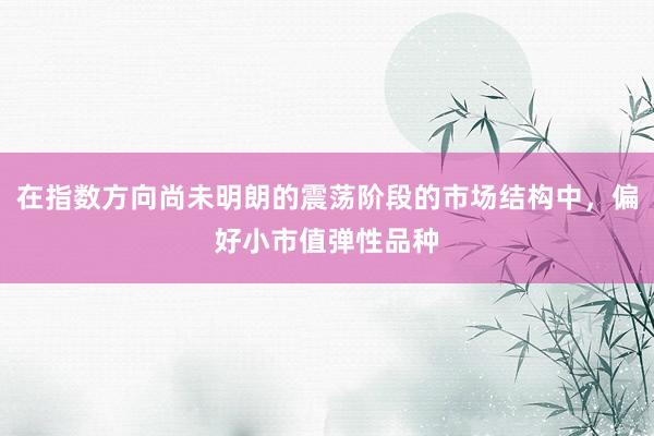 在指数方向尚未明朗的震荡阶段的市场结构中，偏好小市值弹性品种