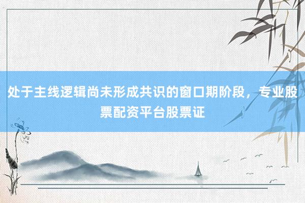 处于主线逻辑尚未形成共识的窗口期阶段，专业股票配资平台股票证