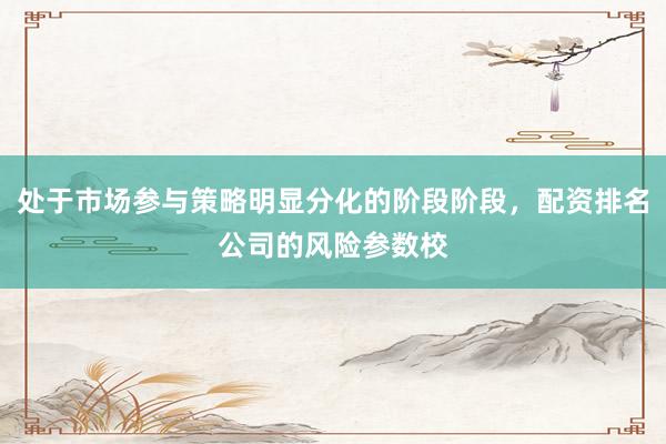 处于市场参与策略明显分化的阶段阶段，配资排名公司的风险参数校