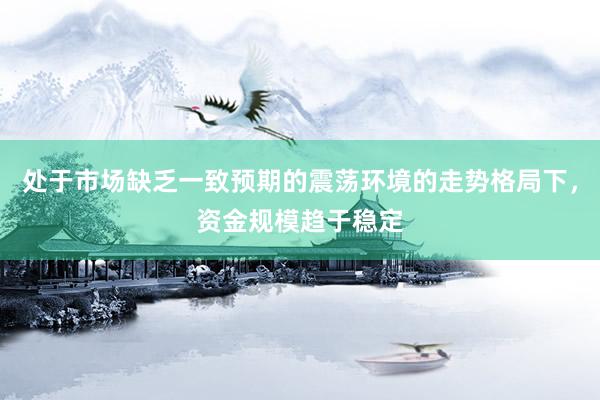 处于市场缺乏一致预期的震荡环境的走势格局下，资金规模趋于稳定