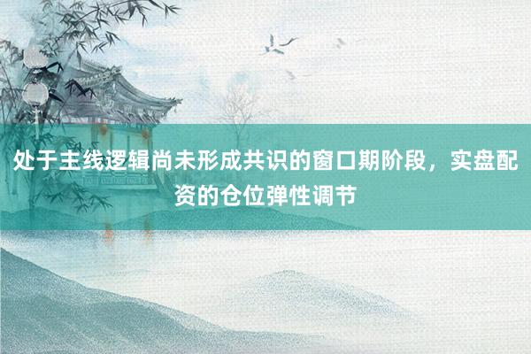 处于主线逻辑尚未形成共识的窗口期阶段，实盘配资的仓位弹性调节