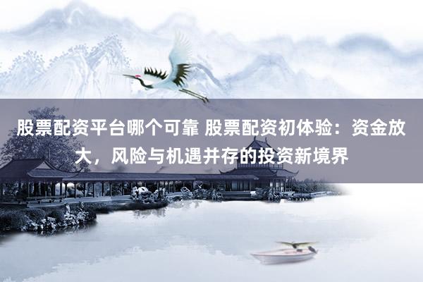 股票配资平台哪个可靠 股票配资初体验：资金放大，风险与机遇并存的投资新境界