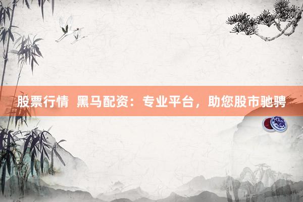 股票行情  黑马配资：专业平台，助您股市驰骋